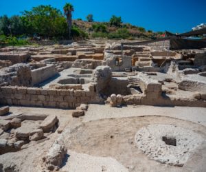 A pair of wineries for producing wine from the Byzantine period. Photo: Yaniv Berman, Israel Antiquities Authority