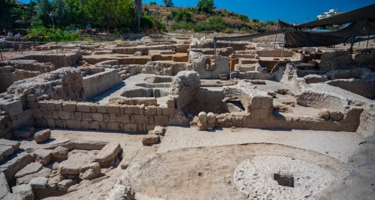 World’s largest Byzantine commercial wine factory uncovered in Israel