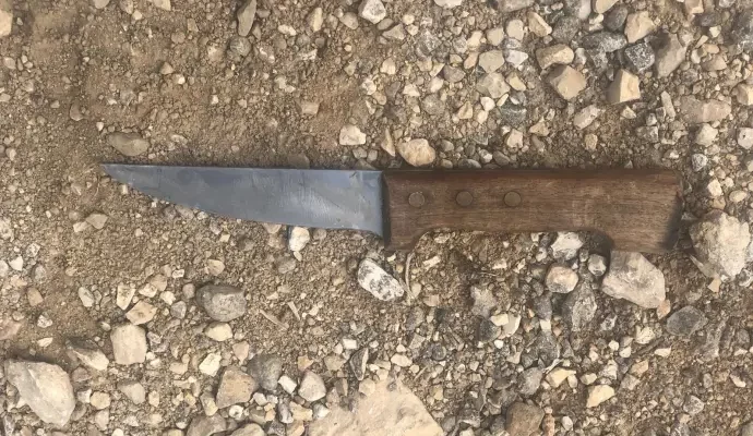 Border Police arrest armed suspected terrorist near Jerusalem