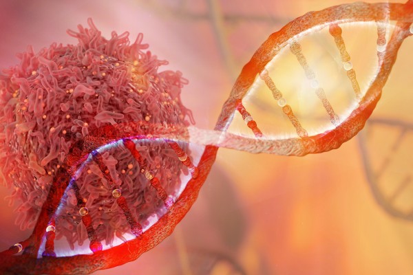Israeli scientists find breakthrough treatment for cancer patients
