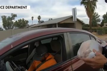 police gives turkey to driver