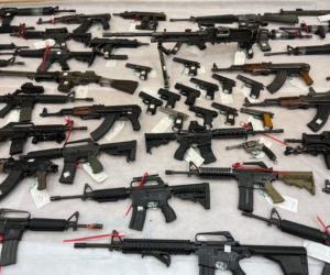 seized guns