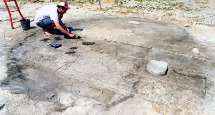 Ice Age remains show ancient people thrived as ice melted, Israeli archaeologists find