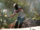 firebomb Palestinian terror