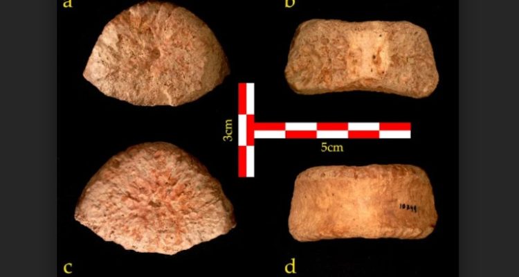 Discovery of prehistoric human remains in Israel sheds light on ancient human migration