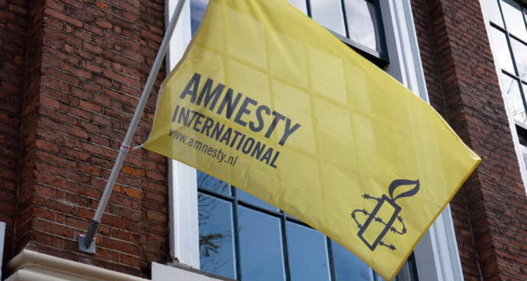 NGOs most often cited in anti-Israel Amnesty report funded by foreign governments