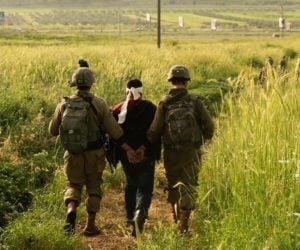 IDF arrest palestinian