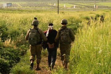 IDF arrest palestinian