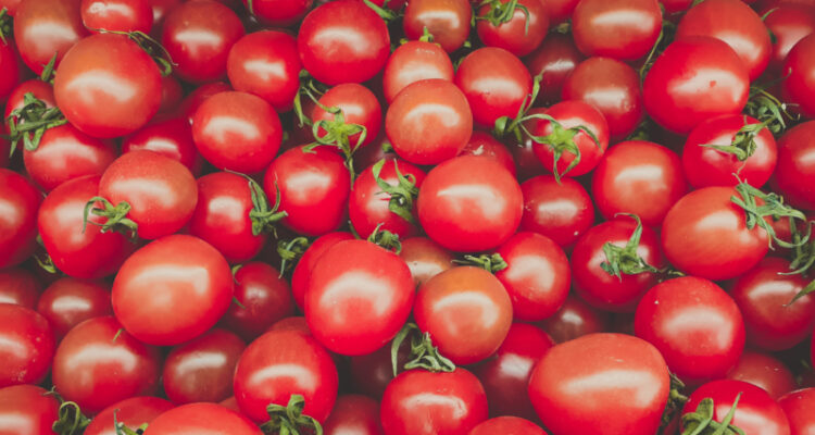 Israeli researchers develop drought-resistant tomato