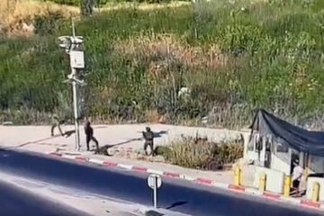 Samaria attempted stabbing IDF May 17, 2022