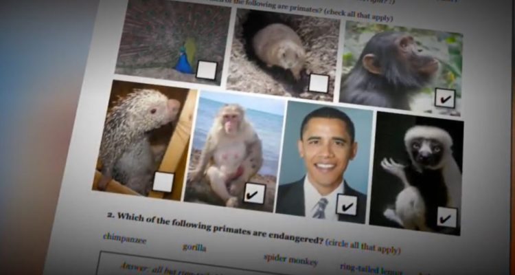 Michigan school suspends teacher for worksheet comparing Obama to monkeys
