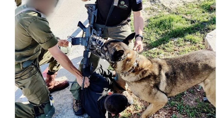 Canine hero: Security dog foils shooting attack in Gush Etzion