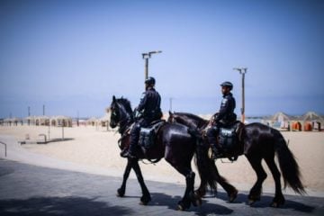 Israeli police