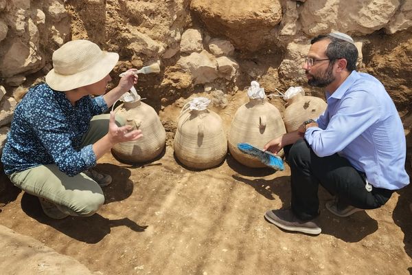 ‘Evidence of our connection’: Rare discovery at ancient Jewish site in Samaria