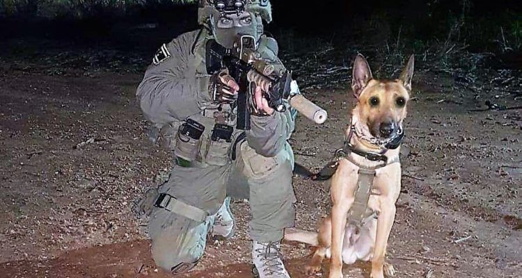 Police dog helps capture terrorist, saves elite Israeli fighters’ lives, killed in battle