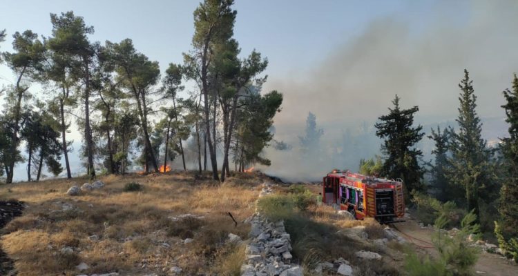 Arson in Judea: Arabs set 3 fires in one day