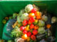 fruits vegetables in garbage