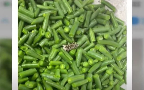 Israeli frozen vegetable giant in hot water as snakes, rats and fingernails discovered
