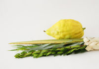 lulav and etrog