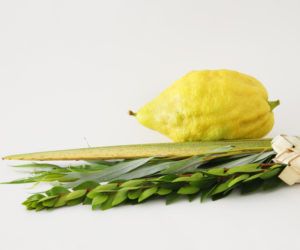 lulav and etrog