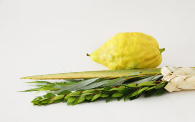 lulav and etrog