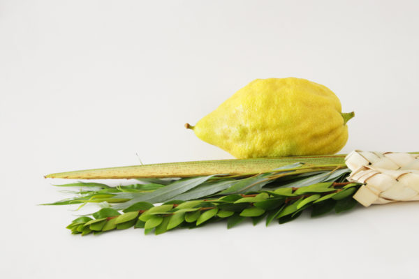 lulav and etrog