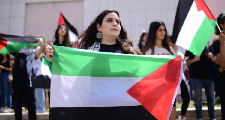 Bill proposing ban of Palestinian flag a priority of new gov’t, says freshman MK