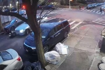 crown heights hit and run