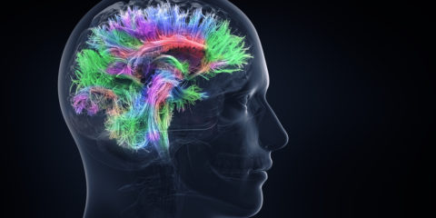 brain activity; 3d illustration