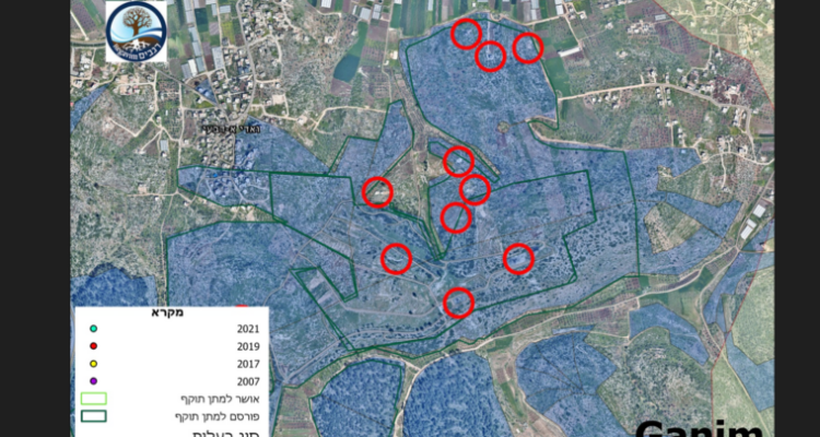 Illegal Palestinian building rampant on ruins of former Jewish communities – NGO