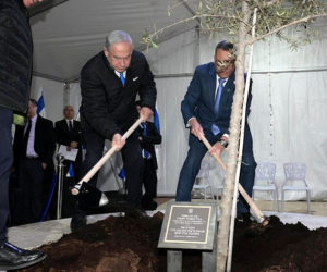 netanyahu tree-planting