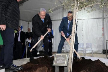 netanyahu tree-planting