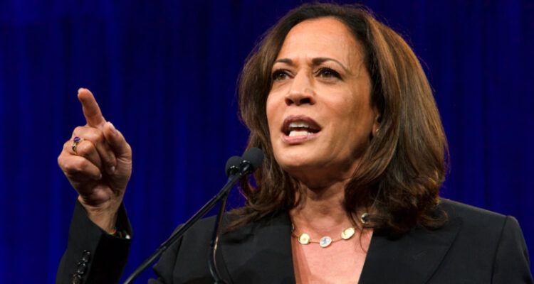Israel’s top diplomat blasts Harris’ ignorance about judicial reform: VP ‘won’t be able to answer’ anything