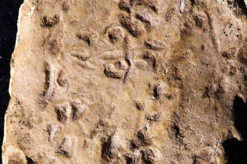 The curse tablet found on Mount Ebal. Photo by Jaroslav Valach.