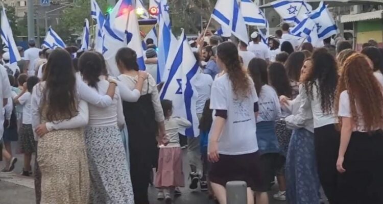 ‘Violent gangs’: Anti-Israel MK slams Jews for dancing with Israeli flags