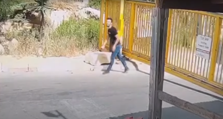 Armed terrorist shot and killed outside of synagogue near Hebron
