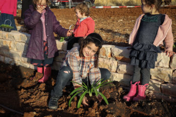 planting trees gush etzion