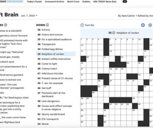 The June 7, 2023 USA Today crossword puzzle, which identifies “Palestine” as a neighbor of Jordan.