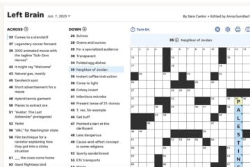 The June 7, 2023 USA Today crossword puzzle, which identifies “Palestine” as a neighbor of Jordan.