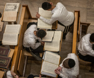 Torah study