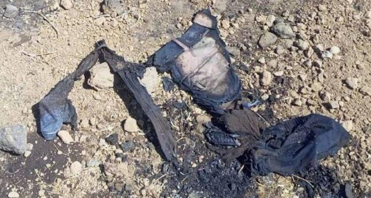 Two terrorists killed in Israeli drone strike in Syria