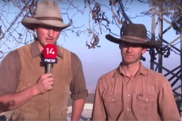 Cowboys helping Israeli farmers