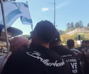 Māori supporters
