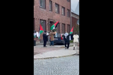 Malmo synagogue protest