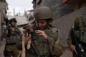 IDF puppy