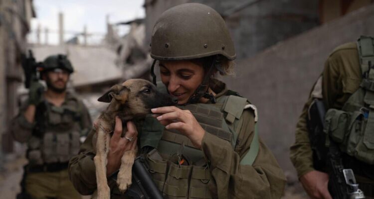 IDF rescues abandoned pets, exotic birds and even a lion from Gaza