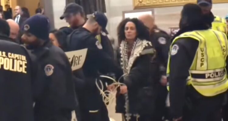 Dozens arrested at anti-Israel protest in Capitol Rotunda in DC