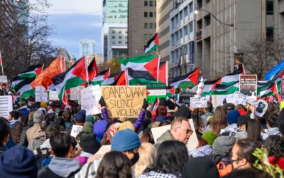 pro-Palestinian rally
