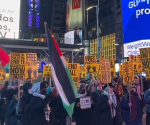Yemen NYC protest