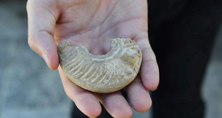 Israeli student unearths rare 1,600-year-old lamp